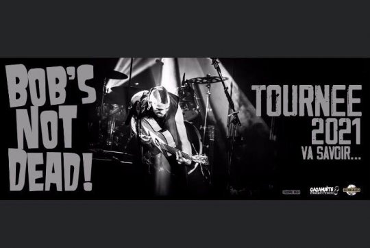 BOB'S NOT DEAD, l'interview