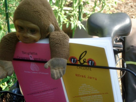 Ubu a un petit vélo dans la gidouille, docteur Ludo !