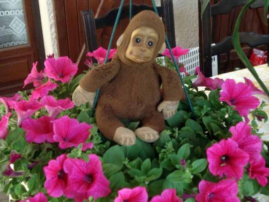 Georges : magnétiseur, médium du mal des autres