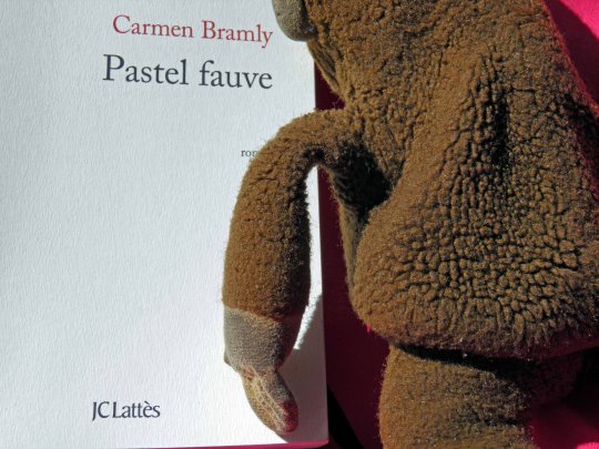 Bonjour tristesse, les clichés d'une pauvre petite fille riche !