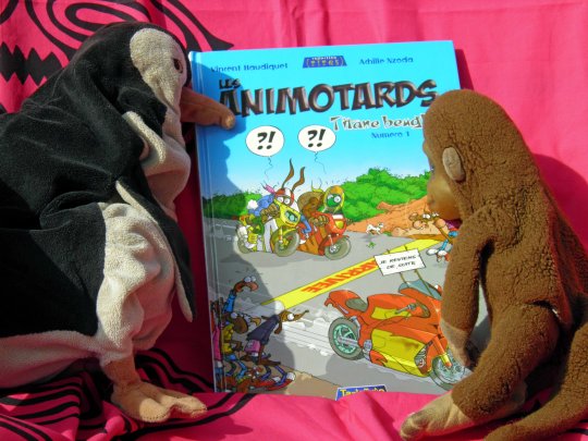 Vroum vroum « Les Animotards » décoiffent les humanos aux potos !