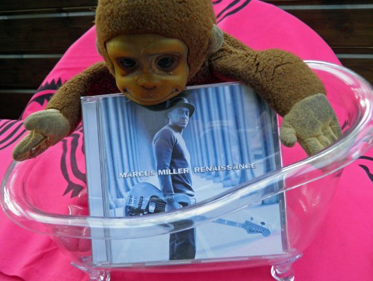 Marcus Miller, la « Renaissance » du bassiste prodige !