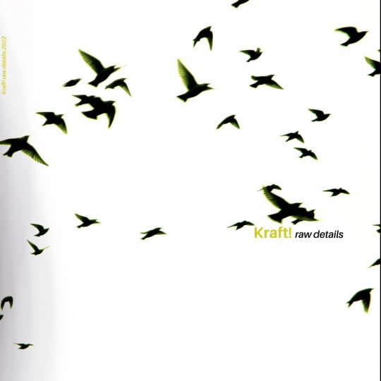 KRAFT, L'album Rock expérimental / Electro