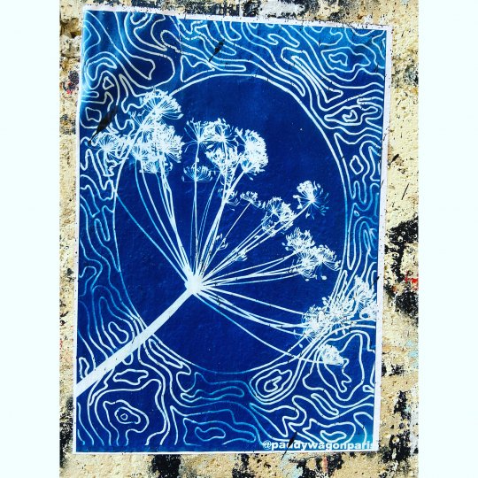 Interview de PaddyWagon ou PaddyWagonParis (Street Art)